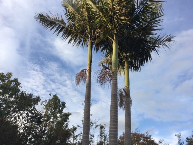 Photo for story: Sue