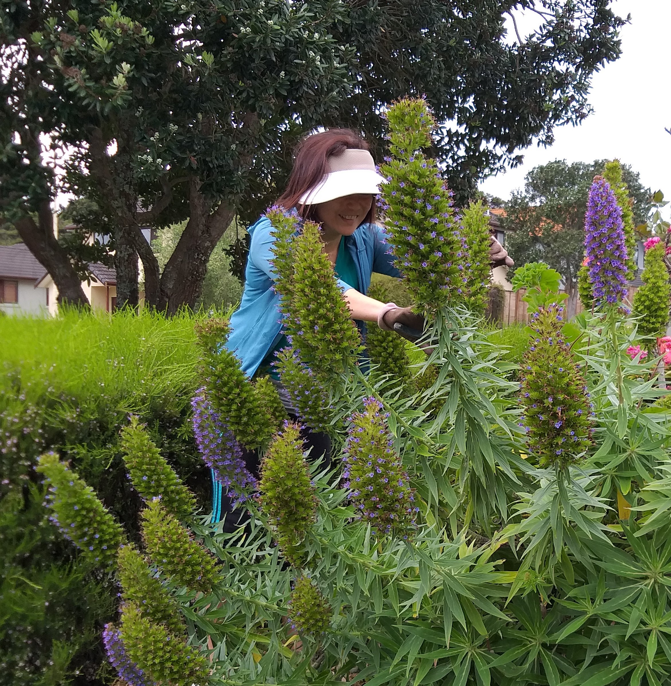 Photo for story: Cheng